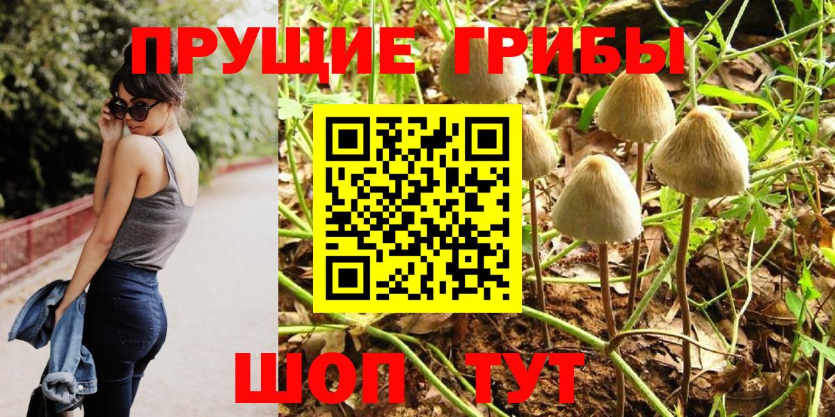 Новосибирск  Псилоцибиновые грибы ЛСД  Вход с VPN  Псилоцибиновые грибы Cubensis 